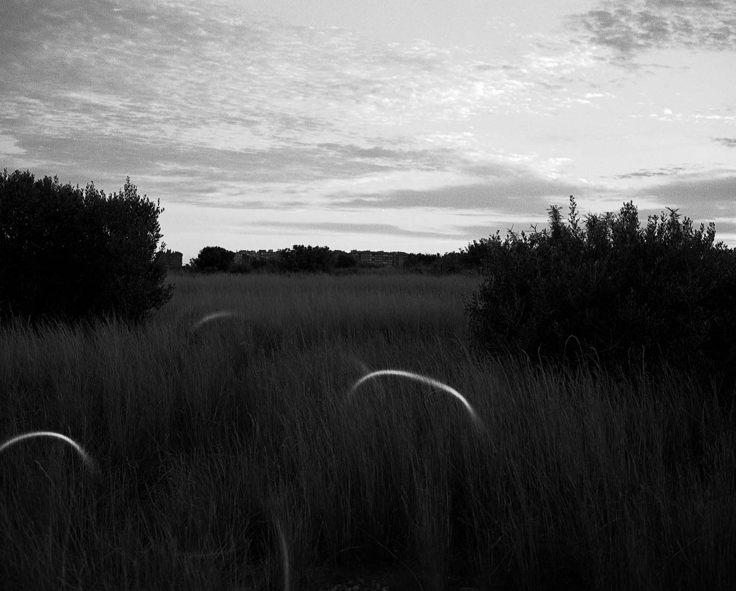 Gerard Boyer - The Vacant Lot (Descampado)